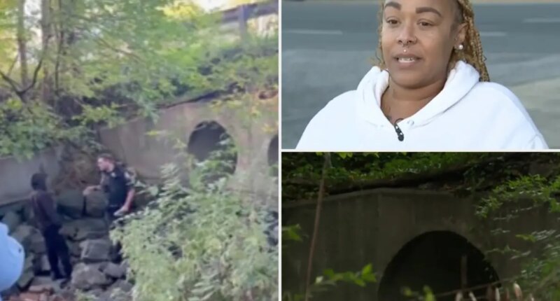 Pennywise lives â in the sewers of Baltimore: âLeave my fâking kids aloneâ